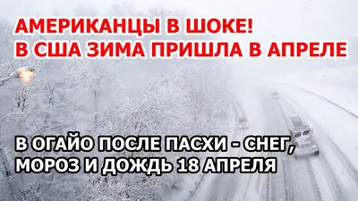 Зима в США: снежный шторм прошел по восточному побережью - Новости на KP.UA