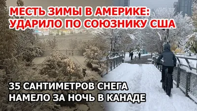 Снежный Улица В Американских Пригородах, Зимний Пейзаж. Фотография,  картинки, изображения и сток-фотография без роялти. Image 38506743