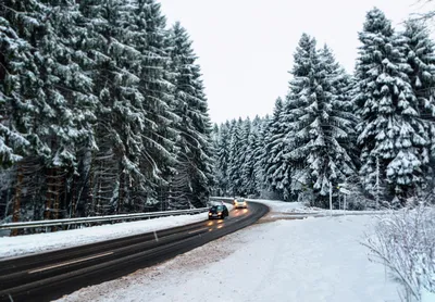 Германию ждёт самая холодная зима за 10 лет? - OstWest TV