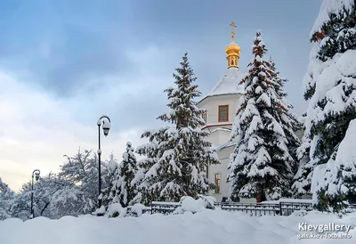 Снега нам немножко, пожалуйста ❄️ | Instagram