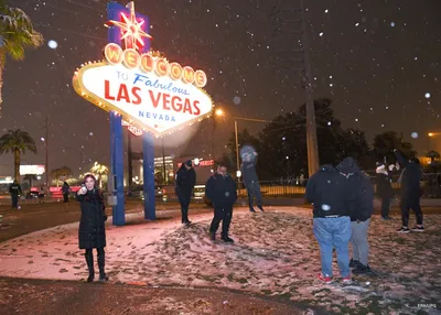 Лос-Анджелес и Лас-Вегас замело снегом: фото, видео - Korrespondent.net