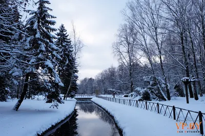 Фотофакт. Первый снег в Минске