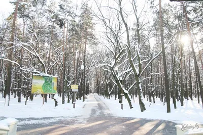 Минск зимой. Фото зимнего Минска