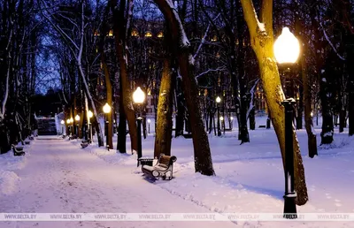 Зима в Минске фото фотографии