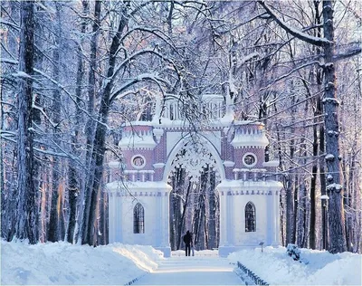 Красивая зима в Москве | Пикабу