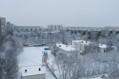 Зима в Москве» — создано в Шедевруме