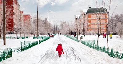 Фестиваль «Усадьбы Москвы. Зима» 2023-2024