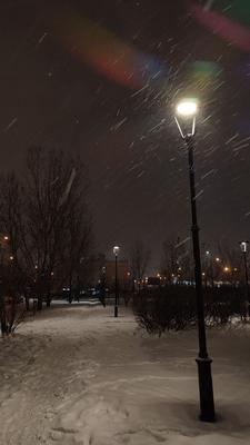 Зима в Москве | РИА Новости Медиабанк