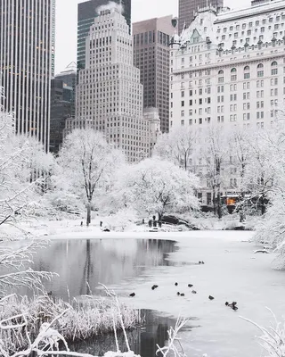 Зима в нью йорке фото
