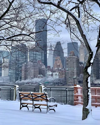 Обои на рабочий стол Зима в центральном парке Нью–Йорка, обои для рабочего  стола, скачать обои, обои бесплатно