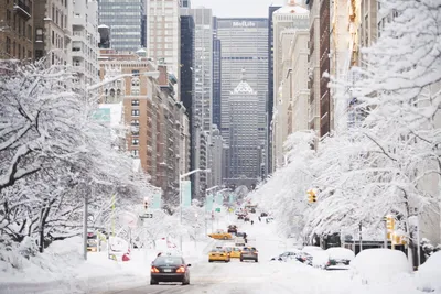 Фотографии Нью-Йорка. Фото Нью-Йорка. Новогодний Нью-Йорк. Зима в Нью-Йорке.  Рождество в Нью-Йорке | Экскурсии, Нью-йорк, Город