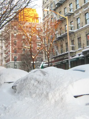 Красивая Зима в Нью-Йорке | Пикабу
