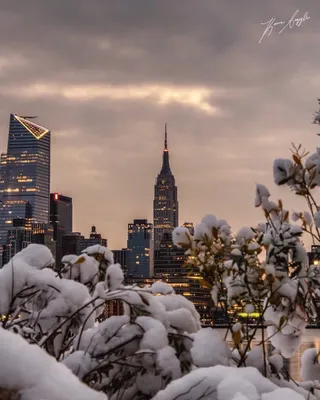 Фотографии Нью-Йорка. Фото Нью-Йорка. Новогодний Нью-Йорк. Зима в Нью-Йорке.  Рождество в Нью-Йорке | Рождество в нью-йорке, Экскурсии, Нью-йорк