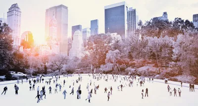 9 вещей, которые надо сделать в Нью-Йорке зимой | Kaplan Blog