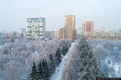 Зима в Академгородке Новосибирска | Пикабу
