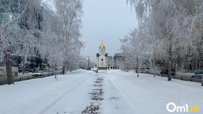 Количество снега в Новосибирске | Пикабу