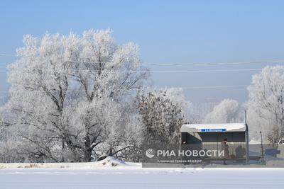 Какая погода будет в Новосибирске зимой 2022–2023 г. - 18 октября 2022 -  НГС.ру
