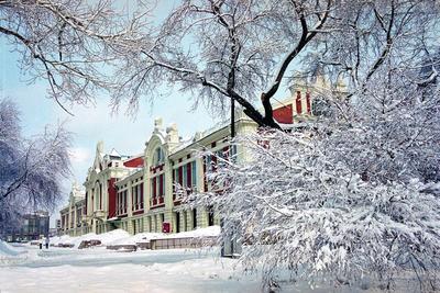 Топ-10 зимних развлечений в Новосибирске и пригороде – куда отправиться на  каникулах | VN.RU