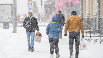 Мокрый снег и гололед: зима в Новосибирске начнется с потепления до +1 -  KP.RU