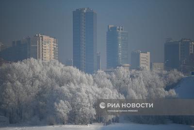 Новости зимы Новосибирска и Новосибирской области за сегодня | НГС.ру -  новости Новосибирска