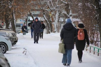 Какие зимы в Новосибирске были самыми холодными и самыми теплыми? |  Sobaka.ru