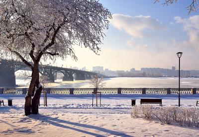 В Новосибирск пришла зима: 10 фото белого города