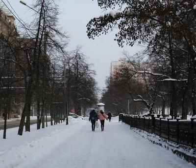 Опубликован прогноз погоды на зиму в Новосибирске по народным приметам |  ОБЩЕСТВО | АиФ Новосибирск
