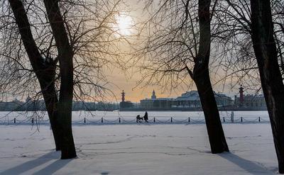 За зиму Солнце в Петербурге светило 52 часа — РБК