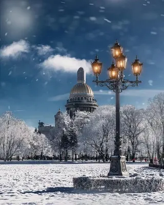 Какая будет зима в Санкт-Петербурге 2021 года. | Обовсёмка😉 | Дзен