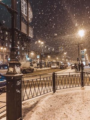 Что посмотреть в Санкт-Петербурге зимой | куда сходить,  достопримечательности, интересные места, парки