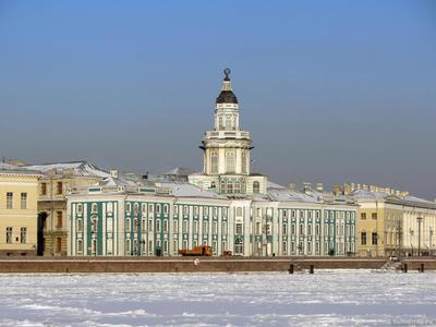 Санкт-Петербург | Зимние сцены, Букеты фотографии, Зимние картинки