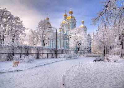 Зима в Санкт-Петербурге, вид на …» — создано в Шедевруме