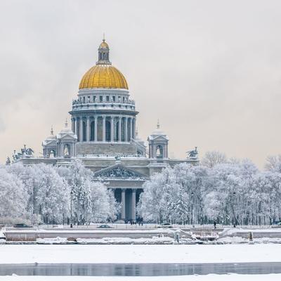 Самые сказочные снимки снежного Петербурга - KP.RU