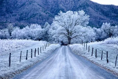 Зима в США фото фотографии