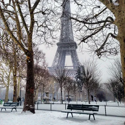 Обои на рабочий стол Зима в Париже / Paris, Франция / France вечером, обои  для рабочего стола, скачать обои, обои бесплатно