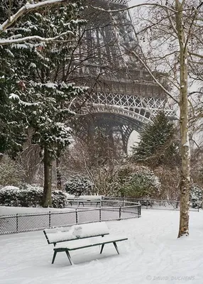 Во Франции официально... - Париж и целый мир - Paris10.ru | Facebook