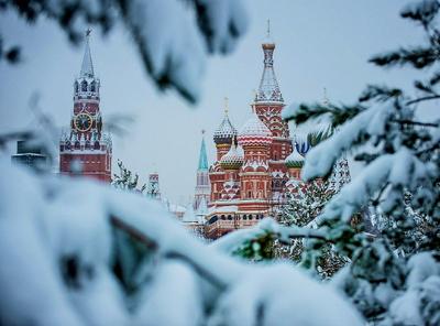 Что посмотреть в Москве зимой самостоятельно — Новый год, фестивали,  красивые места для прогулок