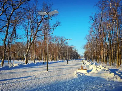 Зимние выходные в Самарской области — весело и интересно! / Новости на  Profi.Travel