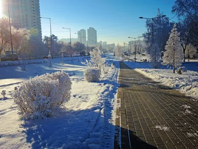 Зимняя Самара • У входа в Загородный парк | Денис Царев | Для тех, кто  никуда не спешит | Дзен