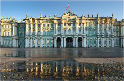 Сад Зимнего дворца — Википедия