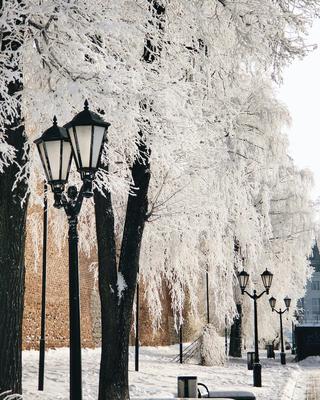 Фантастический зимний закат в Нижнем Новгороде в 10 снимках - 24 февраля  2020 - НН.ру