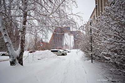 Зимний Новосибирск — 2021 | Gelio | Слава Степанов | Дзен