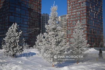 Зимний Новосибирск — заснеженный мегаполис в Сибири (#1) | Пикабу