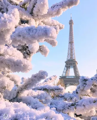 Зимний Париж фото