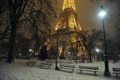 Фотообои париж зимой (9-729)