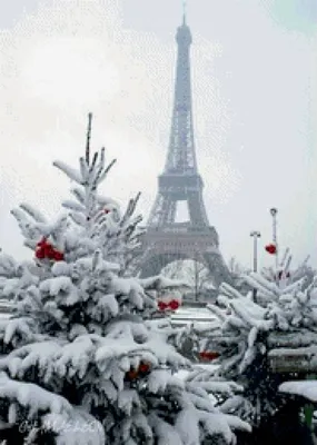 Зима в Париже - 90 фото