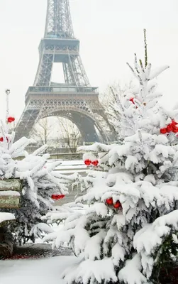 Зимний Париж: sergeyurich — LiveJournal