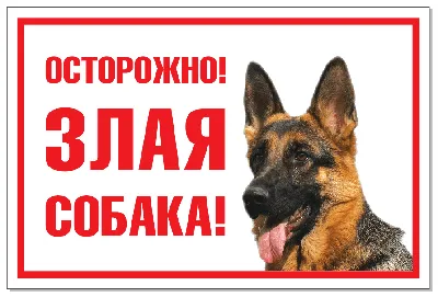 Табличка Злая собака (овчарка) от интернет-магазина Таблички -  tablichkispb.ru
