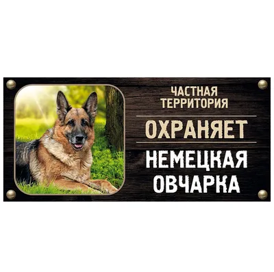 Табличка ламинированая \"Осторожно! Злая собака\" Овчарка — купить в  интернет-магазине по низкой цене на Яндекс Маркете