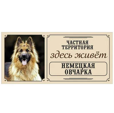 овчарка собака злая | Крымское информационное агентство